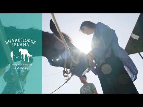 里山乗馬の動画