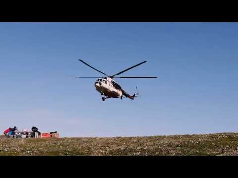 Showreel