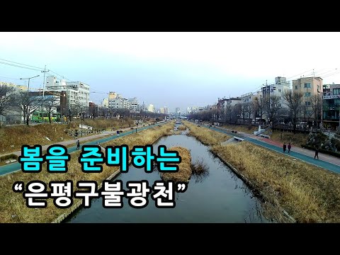 은평구 불광천 벚꽃과 함께 봄이 시작됩니다.