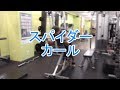 スパイダーカール(Spider Curl)の基本フォームとやり方