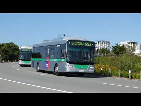 Transperth 3111,3056,2008,1888 & 2768 @ Roger Mackay Drive,Burswood