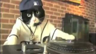 DJ Kitteh featuring. Schatrax -- Loops And Samples.