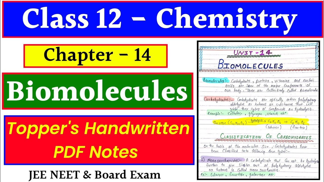 Chapter 14 BIOMOLECULES || Class 12 Chemistry || Handwritten PDF Notes || #jee #neet #cbse #cuet