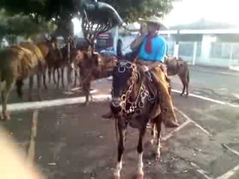 Pedro Henrique Berranteiro