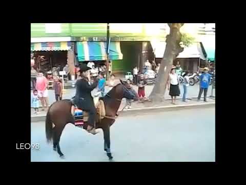 MOSCONI fa equitazione, ma il cavallo lo fa cadere! • By LEO98