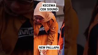 Download lagu Cek Sound New Pallapa & Ramayana Audio #ramayanaaudio #newpallapa #newpallapaliveterbaru mp3