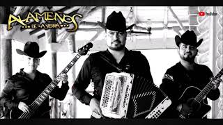 Jefe De Nuevo Laredo (En Vivo) Lyrics English Translation