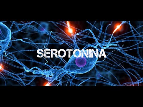 SEROTONINA - D1mec Ft. Lado Sujo (Art.Japa) | Prod. Cod3Beatz.