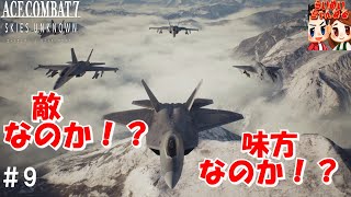 #9【フライト】味方VS味方！？ らいずの「エースコンバット7 スカイズ・アンノウン」【ＨＡＲＤ】 Ally-to-ally⁉ ACE COMBAT 7 【らいめいちゃんねる】