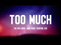 TOO MUCH - The Kid LAROI, Jung Kook, Central Cee [Lyric Song] 🪳
