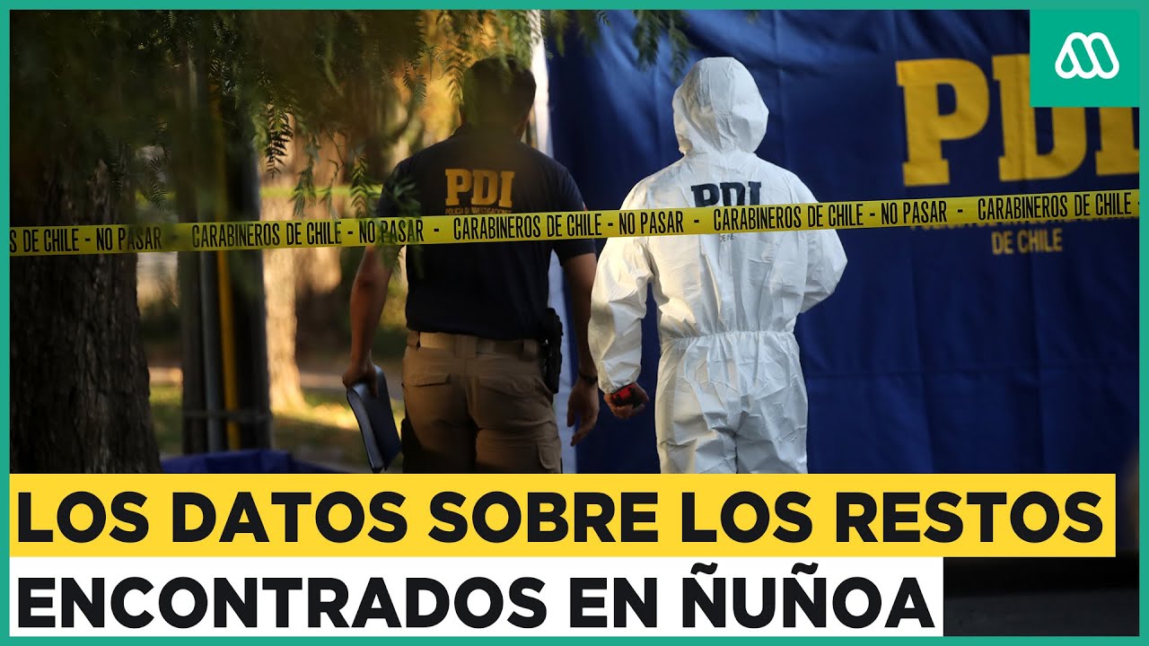 Mucho Gusto | Los datos sobre los restos humanos encontrados en Ñuñoa