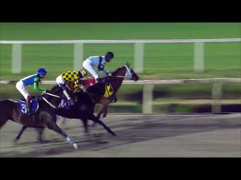 230728 c08 JOURNEY (BRZ)