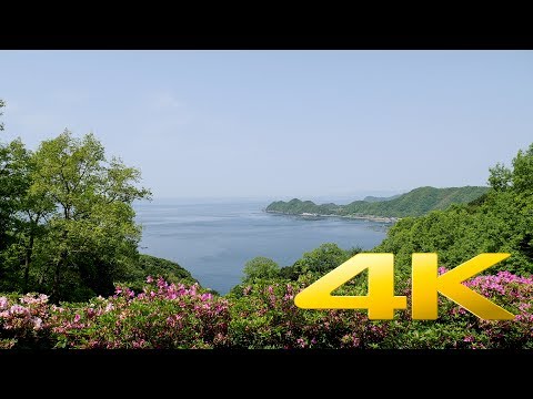 Beautiful Seiyo countryside - 美しい西予 - 4K Ultra HD