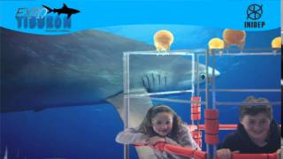 DIA 3 Expo Tiburon88