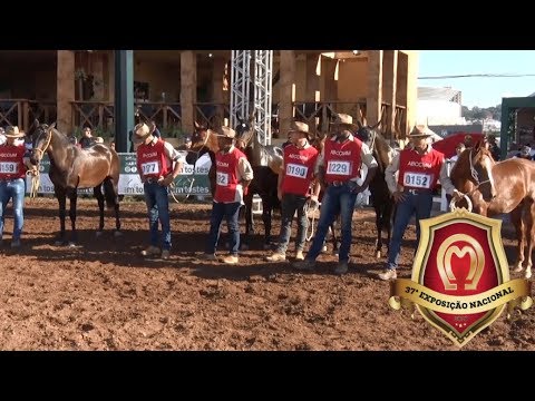 Grandes Marcha Batida