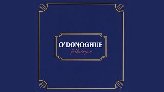 AsI Leave Behind Neidin