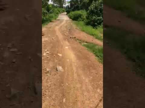 5748m2 với 2 mặt tiền Buôn Đôn, Daklak đang tìm chủ