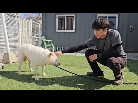 Eunbyul resource guarding test