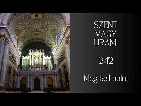 JKS 464 Mária, Matka milosti