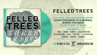 Felled Trees - Drawerings feat. Karl Larsson (Last Days of April) (Dinosaur Jr.)