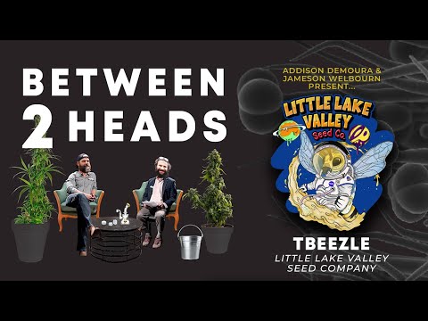 Between2Heads with TBeezle of Little Lake Valley Seed Co.