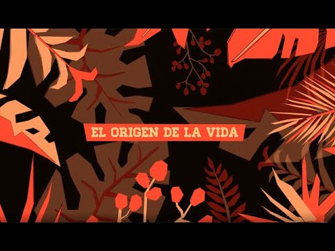 CSIC: The Origin of Life