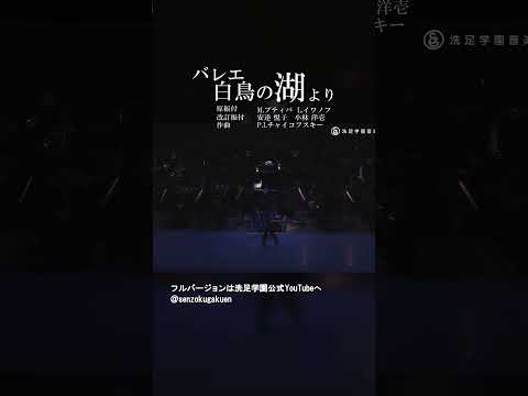 白鳥の湖 より