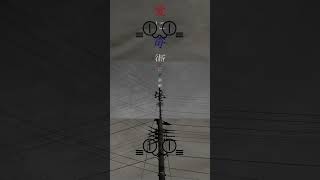 - 愛に奇術師 -cover- / ニャンヤオチュー #shorts