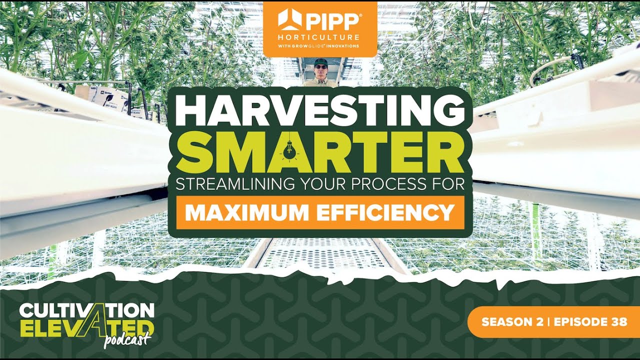 Harvesting Smarter: Streamlining Your Process for Maximum Efficiency