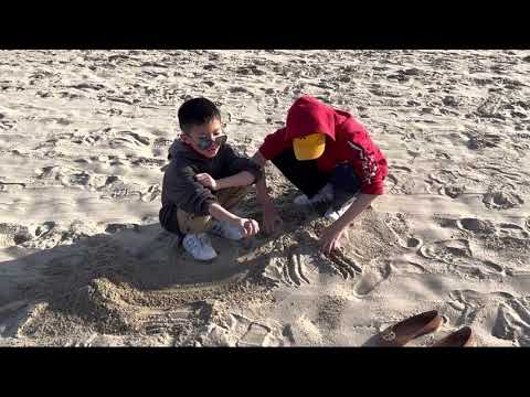 Taking a Dip in the Pacific Ocean! | Santa Monica, CA