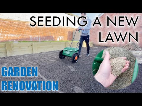 Seeding a NEW LAWN - New Build - Garden Renovation