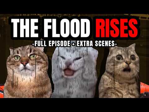 Cat MEMES: THE FLOOD DISASTER | FAMILY ROADTRIP SPECIALS