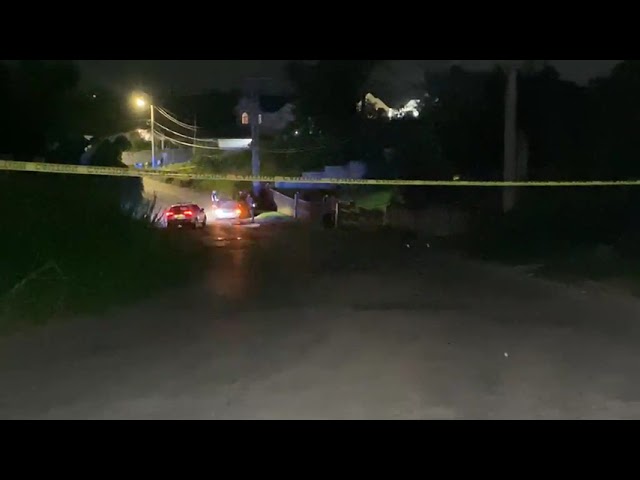 A man succumbed to injuries he sustained after he was struck by a motorcar on Grove Road in Mandeville on Friday night.