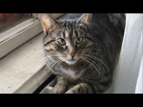 Depressia and Sneaky Lopez