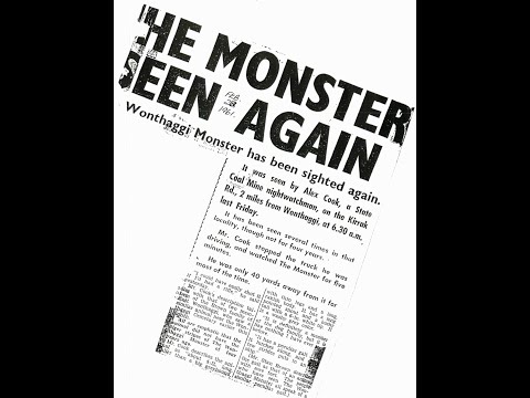 Thylacine sighting 17/01/22, Gippsland Victoria.