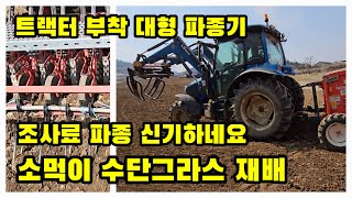 조사료 파종 트랙터 부착 파종기로 수단그라스 파종 한마디로 소먹이 재배