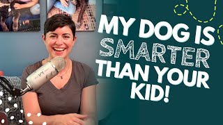 Boost Your Dog’s Brainpower with Cognitive Enrichment | Ep. 2