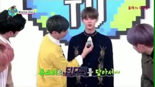 Download lagu Macam-Macam Teriakan Wanna One~ mp3 Download lagu Macam-Macam Teriakan Wanna One~ mp3