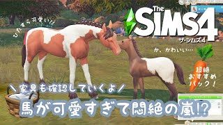 【シムズ4】#1 馬が可愛すぎて悶絶の嵐!? | 家具紹介編【TheSims4】