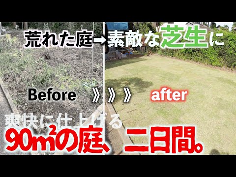 カーペットバーベナ「サマーパール」:刈り取らずに花を咲かせる芝生 庭の練習