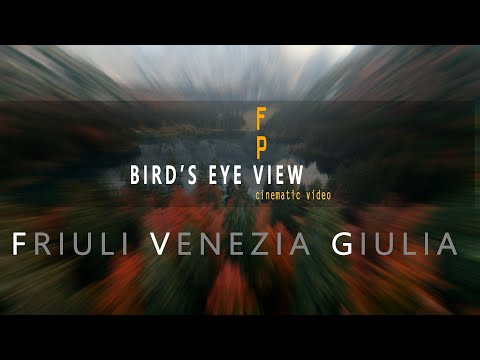 Bird's eye View - Friuli Venezia Giulia - FPV Cinematic