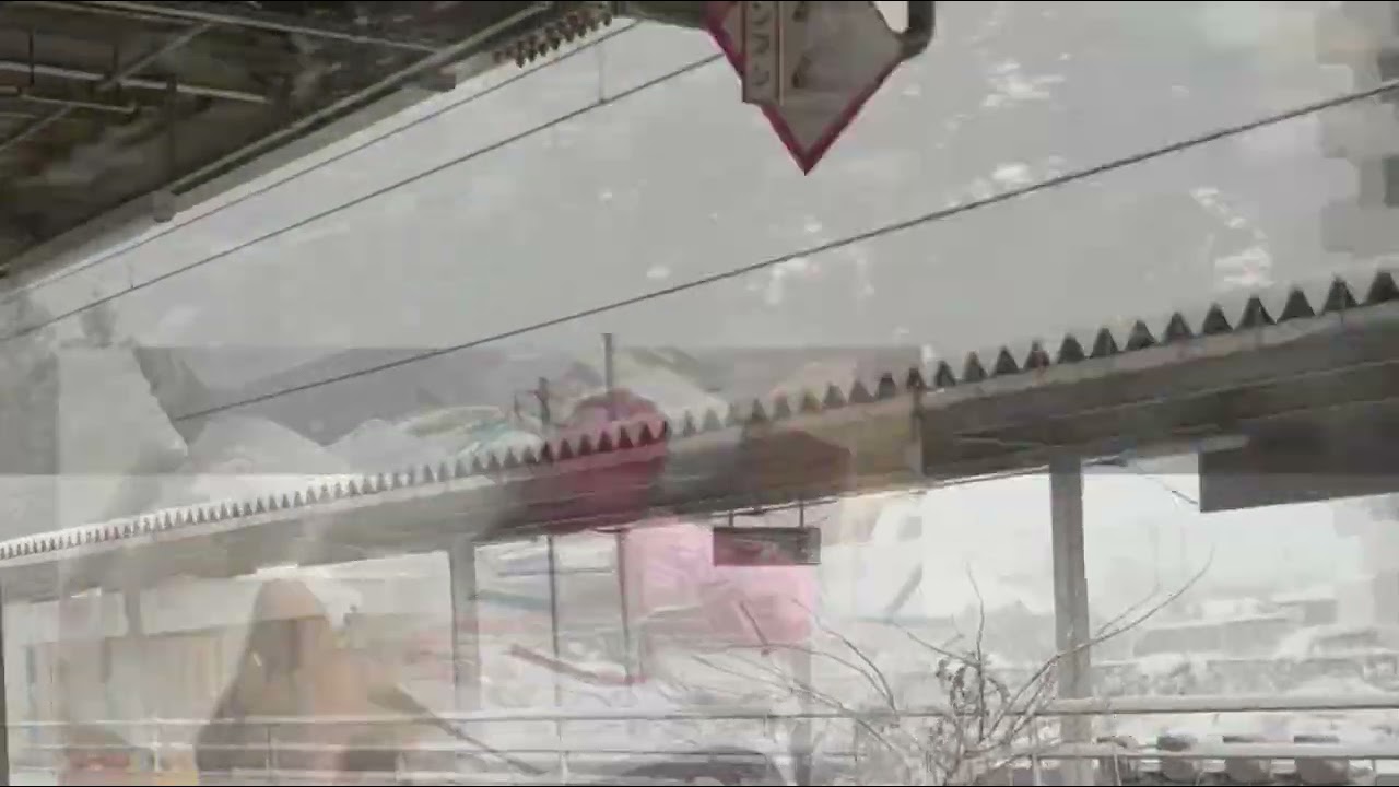 [No.67]前頭葉