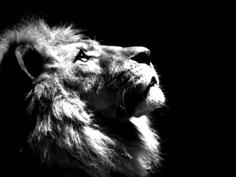 African Simba feat Rootah - Alternative Power