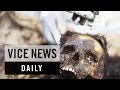 VICE News Daily: Thai Officials Accused of Human.