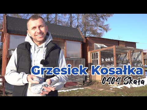 Grzesiek Kosałka - 0404 Skała | Młoda i perspektywiczna hodowla & super 'czwórka' 🏆
