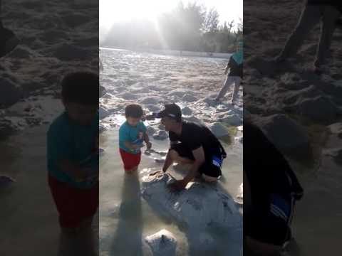 Pari Beach ( Delisha)(1)