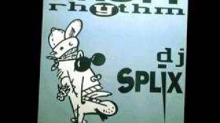 DJ Splix - Nasty Rhythm
