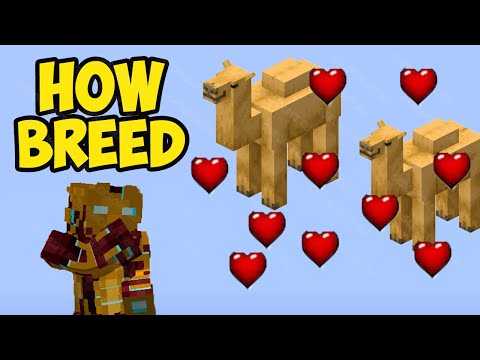 MINECRAFT HOW TO BREED CAMEL (EASY) | MINECRAFT HOW TO TAME CAMEL