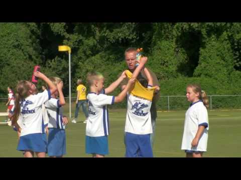 Phoenix E1 - Weidevogels E1 2016-2017