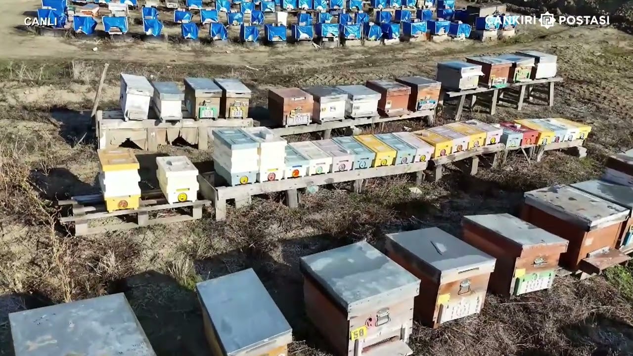 Kurşunlu özlemi duyanlara duygu dolu görüntüler